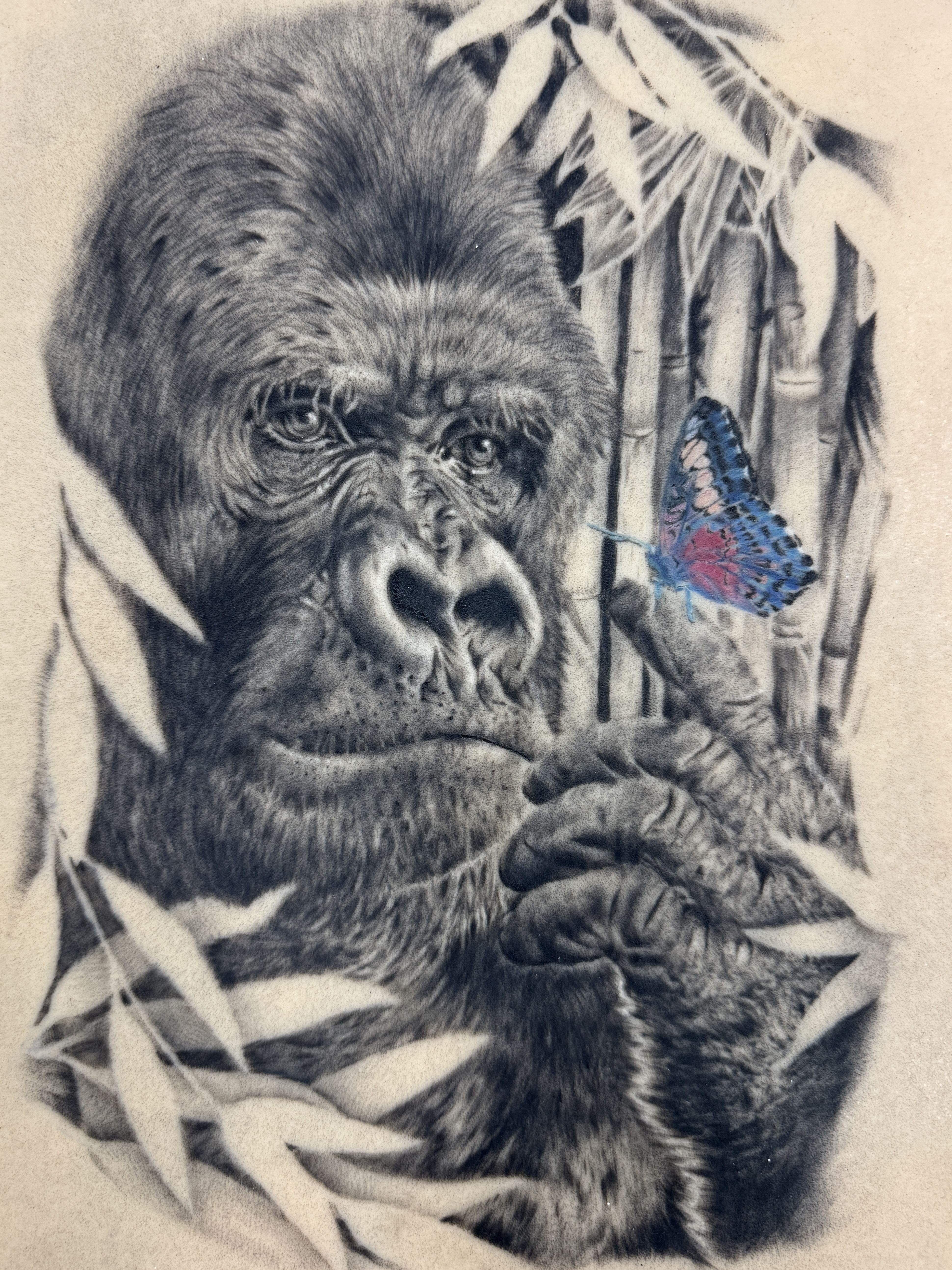 Gorilla with butterfly.