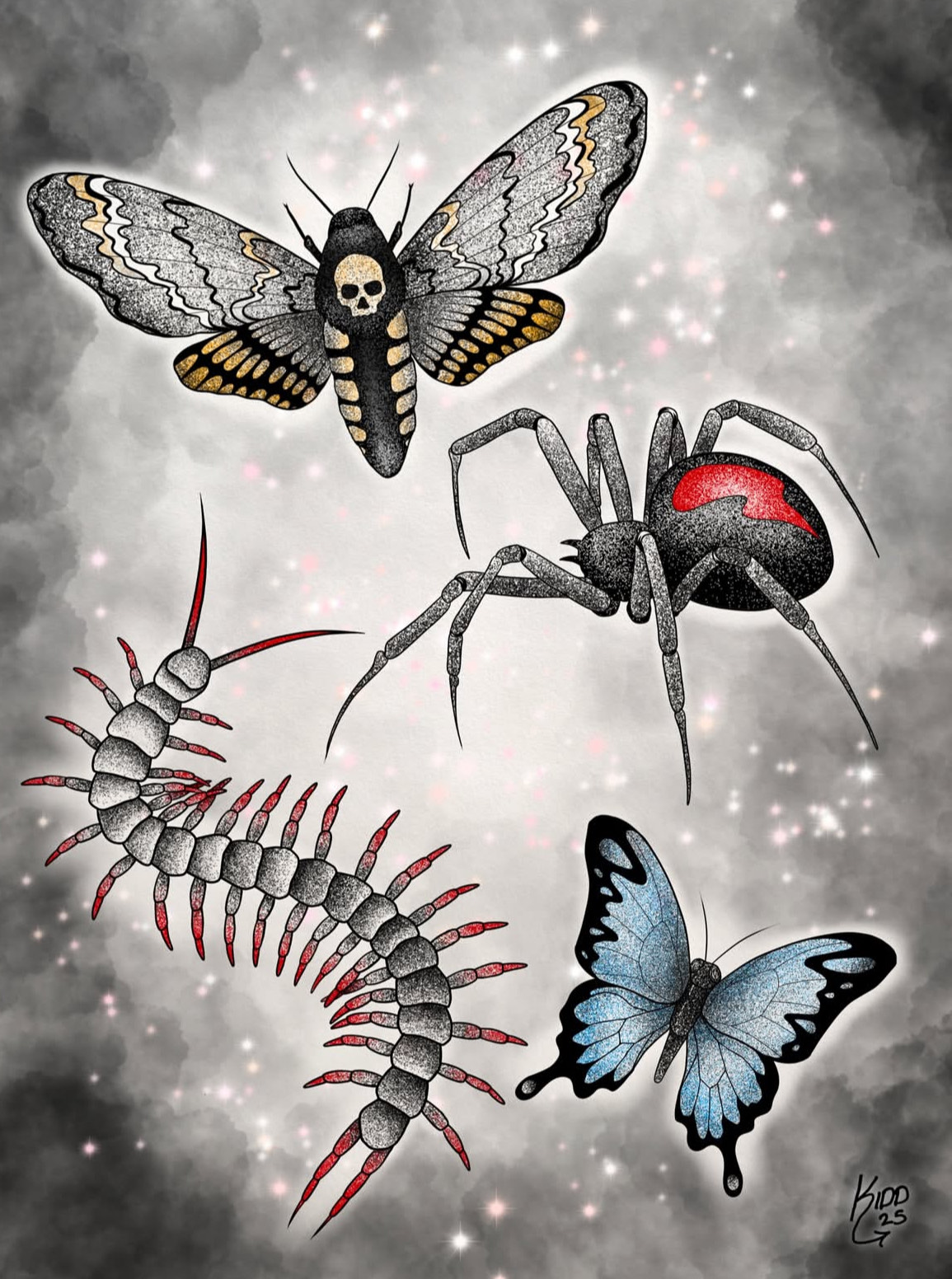 Spider, centipede, moth and butterfly.